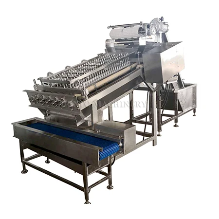 Prawns sheller